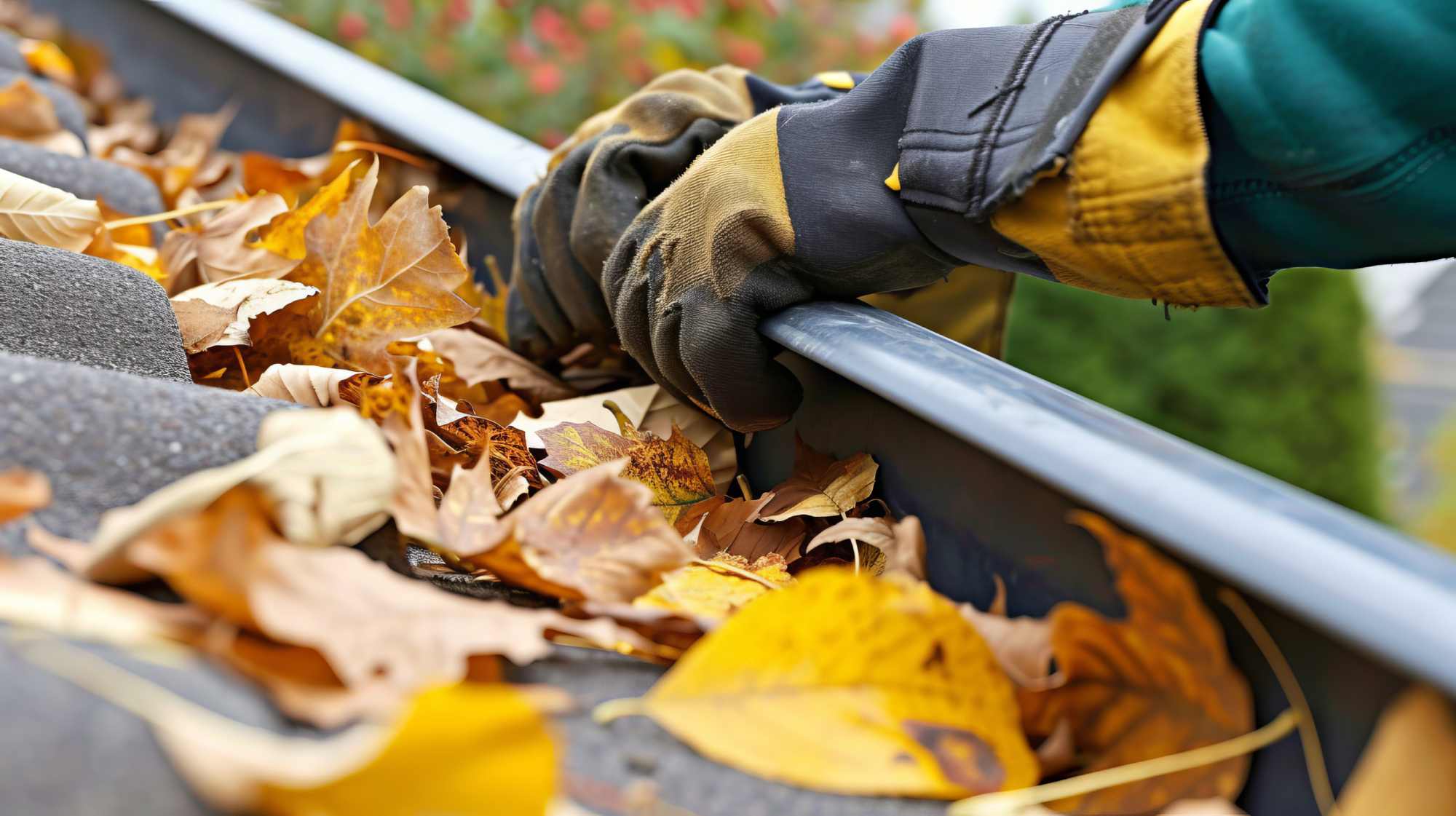 Clearing leaves from a gutter